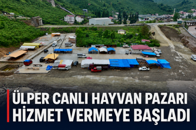 ÜLPER CANLI HAYVAN PAZARI HİZMET VERMEYE BAŞLADI