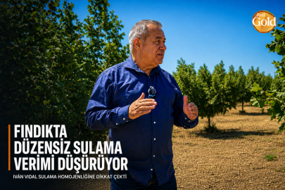 AVRUPA FINDIĞINDA DÜZENSİZ SULAMA VE HASATTA YAĞIŞ RİSKİ VERİMİ TEHDİT EDİYOR