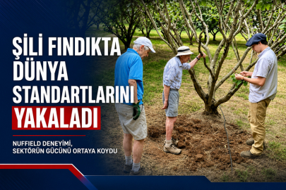 ŞİLİ FINDIKTA DÜNYA STANDARTLARINI YAKALADI