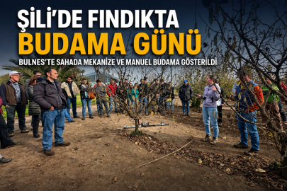 ŞİLİ’DE AVRUPA FINDIĞI İÇİN SAHADA BUDAMA EĞİTİMİ