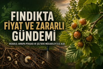 FINDIKTA FİYAT VE ZARARLI MÜCADELESİ REDGOLD’DA ELE ALINDI