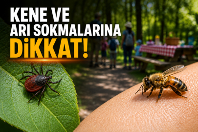 Kene ve arı sokmalarına dikkat!
