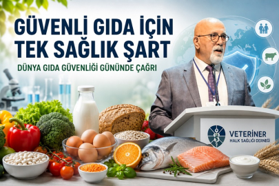 AZMİ YÜKSEL: GÜVENLİ GIDA İÇİN TEK SAĞLIK YAKLAŞIMI ZORUNLU