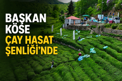 BAŞKAN KÖSE ÇAY HASAT ŞENLİĞİ’NDE: