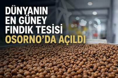 OSORNO FINDIKTA KÜRESEL MERKEZ OLUYOR