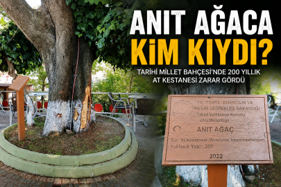 MİLLET BAHÇESİ’NDE ANIT AĞACA ZARAR