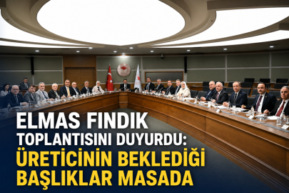 FINDIKTA SEZON ÖNCESİ TOPLANTI