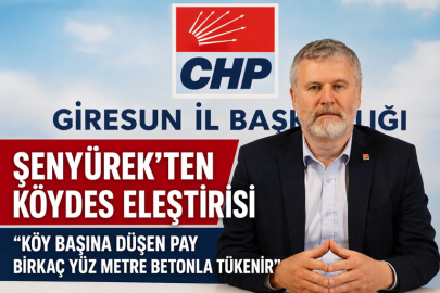 ŞENYÜREK: “KÖY BAŞINA DÜŞEN PAY BİRKAÇ YÜZ METRE BETONLA TÜKENİR”