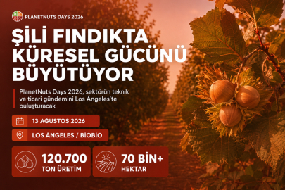 ŞİLİ FINDIKTA KÜRESEL GÜÇ OLMA HEDEFİNİ BÜYÜTÜYOR