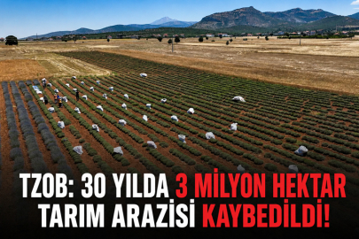 TZOB: 30 yılda 3 milyon hektar tarım arazisi kaybedildi!