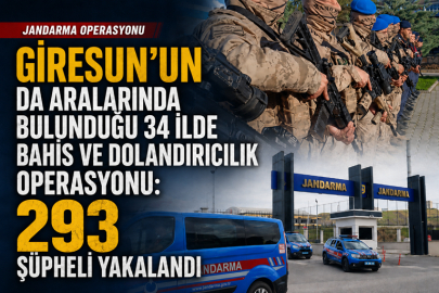 34 ilde dev operasyonda 159 tutuklama!