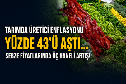 Tarımda üretici enflasyonu yüzde 43'ü aştı... Sebze fiyatlarında üç haneli artış!