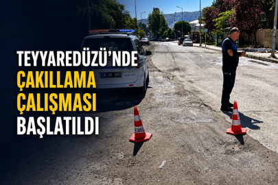 TEYYAREDÜZÜ’NDE ÇAKILLAMA ÇALIŞMASI BAŞLATILDI
