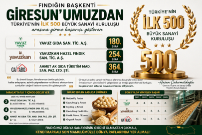 GİRESUN FINDIKTA SANAYİ LİGİNDE BÜYÜDÜ
