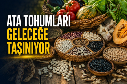Ata Tohumları Geleceğe Taşınıyor: