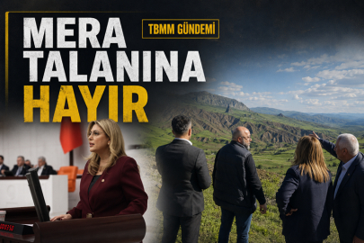 GEZMİŞ, ŞEBİNKARAHİSAR’DAKİ MERA TAHSİSLERİNİ MECLİS’E TAŞIDI