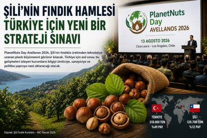Şili’nin Fındık Hamlesi Türkiye İçin Yeni Bir Strateji Sınavı