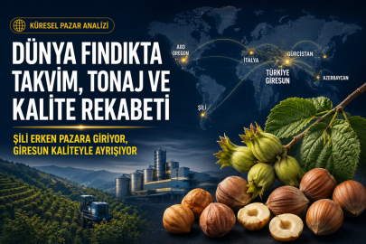 DÜNYA FINDIKTA TAKVİM, TONAJ VE KALİTE REKABETİ: