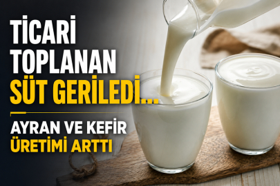 Ticari toplanan süt geriledi... Ayran ve kefir üretimi arttı