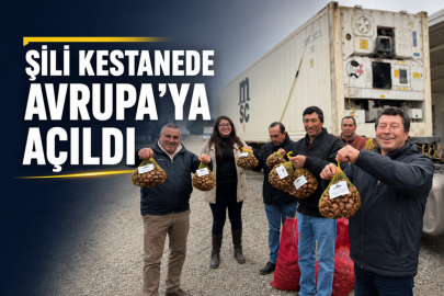 ŞİLİ KESTANEDE AVRUPA’YA AÇILDI