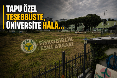TAPU ÖZEL TEŞEBBÜSTE, ÜNİVERSİTE HÂLÂ ESKİ DOSYANIN PEŞİNDE