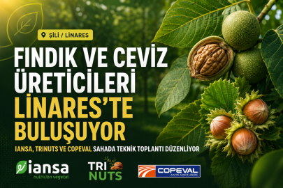 ŞİLİ’DE FINDIK ÜRETİCİLERİ İÇİN VERİMLİLİK SAHAYA İNİYOR