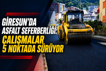 ​​​​​​​GİRESUN’DA ASFALT SEFERBERLİĞİ: