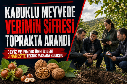 KABUKLU MEYVEDE VERİMİN ŞİFRESİ TOPRAKTA ARANDI