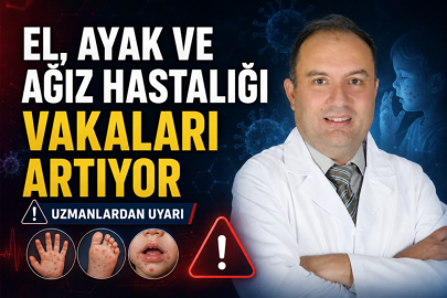 El, Ayak ve Ağız Hastalığı Vakaları Artıyor