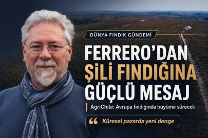 FERRERO ŞİLİ’DE FINDIK BÜYÜMESİNİ SÜRDÜRECEK: