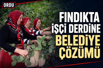 FINDIKTA İŞÇİ DERDİNE BELEDİYE ÇÖZÜMÜ