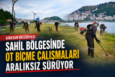 GİRESUN SAHİLİNDE OT BİÇME ÇALIŞMALARI SÜRÜYOR