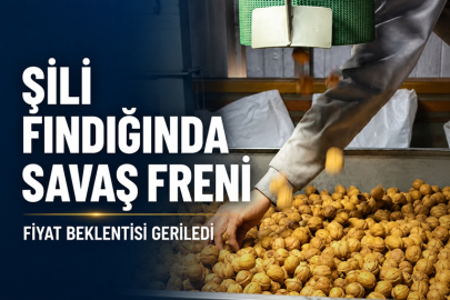 ŞİLİ FINDIĞINDA REKOR FİYATLA BAŞLAYAN SEZONA SAVAŞ FRENİ