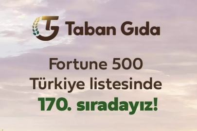 Türkiye'nin Dev Gıda Tedarikçisine Konkordato Koruması: Fortune 500 Şirketi İçin 3 Aylık Kritik Süre Başladı