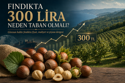 FINDIKTA 300 LİRA NEDEN TABAN OLMALI?