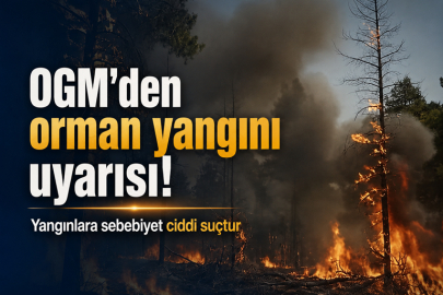 OGM'den orman yangını uyarısı! Yangınlara sebebiyet ciddi suçtur