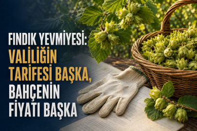 FINDIK YEVMİYESİ: VALİLİĞİN TARİFESİ BAŞKA, BAHÇENİN FİYATI BAŞKA