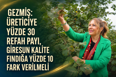 GEZMİŞ: “ÜRETİCİYE YÜZDE 30 REFAH PAYI, GİRESUN KALİTE FINDIĞA YÜZDE 10 FARK VERİLMELİ”