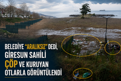 GİRESUN SAHİLİNDE ÇÖP, KURUYAN YEŞİL ALANLAR VE DENİZE ATIK SU İDDİASI