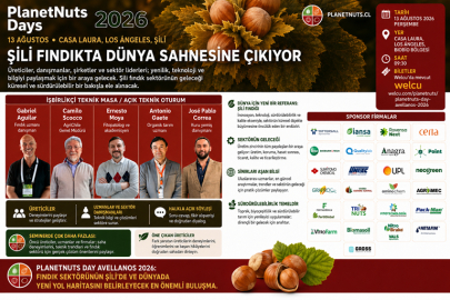 ŞİLİ FINDIKTA DÜNYA SAHNESİNE ÇIKIYOR