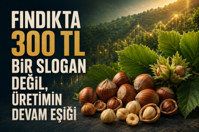 FINDIKTA 300 TL BİR SLOGAN DEĞİL, ÜRETİMİN DEVAM EŞİĞİ
