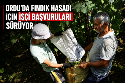 ORDU’DA FINDIK HASADI İÇİN İŞÇİ BAŞVURULARI SÜRÜYOR
