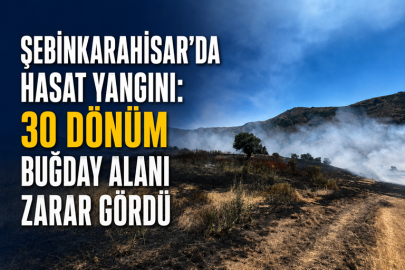 ŞEBİNKARHİSAR’DA HASAT YANGINI: 30 DÖNÜM BUĞDAY ALANI ZARAR GÖRDÜ