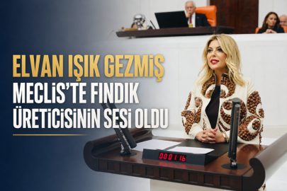 ELVAN IŞIK GEZMİŞ MECLİS’TE FINDIK ÜRETİCİSİNİN SESİ OLDU