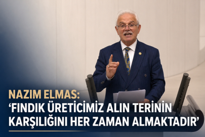 NAZIM ELMAS: “FINDIK ÜRETİCİMİZ ALIN TERİNİN KARŞILIĞINI HER ZAMAN ALMAKTADIR”