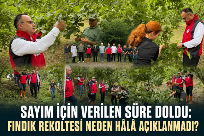 SAYIM İÇİN VERİLEN SÜRE DOLDU: FINDIK REKOLTESİ NEDEN HÂLÂ AÇIKLANMADI?