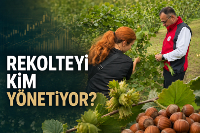 REKOLTEYİ KİM YÖNETİYOR