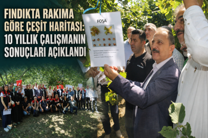FINDIKTA RAKIMA GÖRE ÇEŞİT HARİTASI: 10 YILLIK ÇALIŞMANIN SONUÇLARI AÇIKLANDI