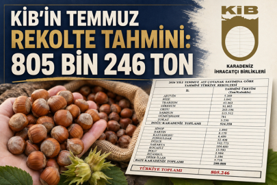 İHRACATÇILAR MART AYINDAN BERİ 800 BİN TONUN ÜZERİNDE REKOLTE BEKLİYOR