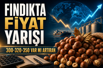 FINDIKTA FİYAT YARIŞI (!)
